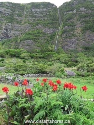 flores-azores-waterfalls-flowers